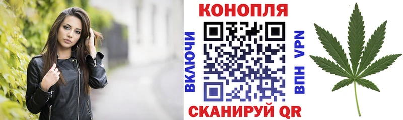 Купить закладки  Алейск  Бошки Шишки OG Kush 